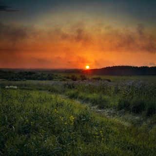 А в стороне дымит завод, нарушая краски заката