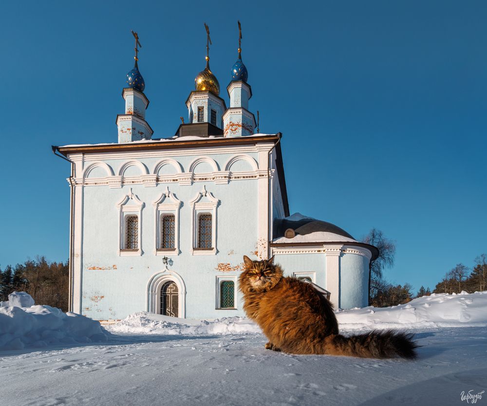 Свято-Введенский Макарьевский Жабынский мужской монастырь
