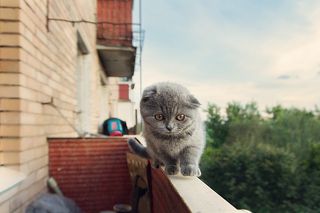 на восьмом этаже