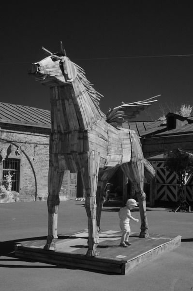 Пегас? Троянский? 2010