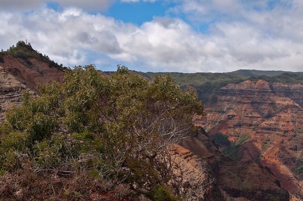 Каньон Waimea