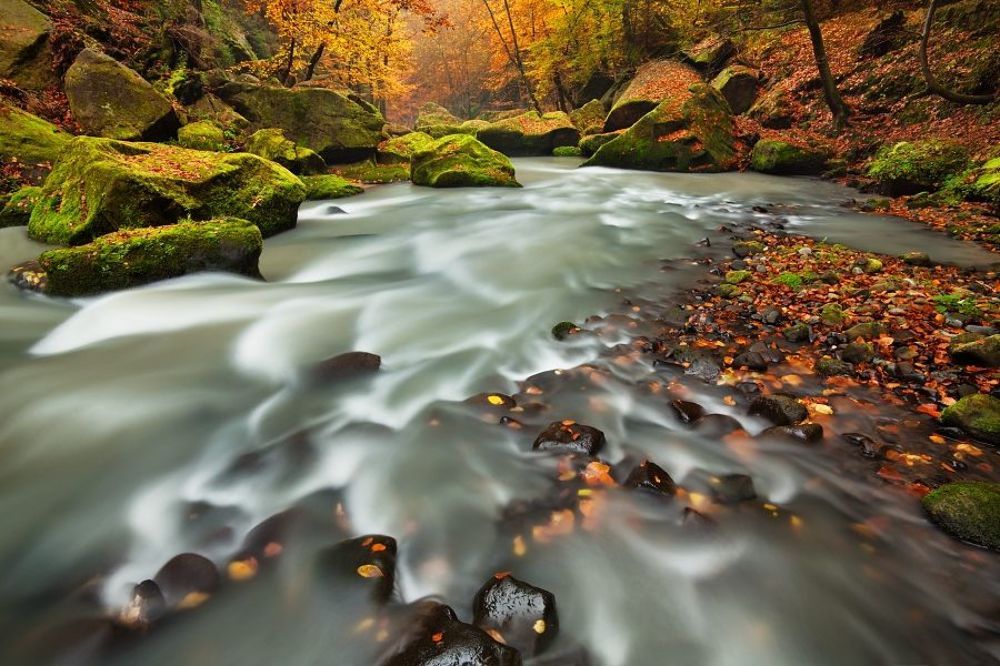 Autumn creek