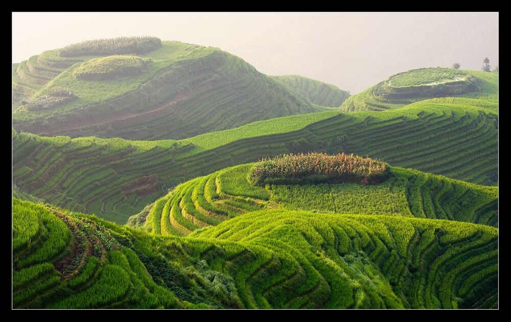 Плюшевая Земля, Китай