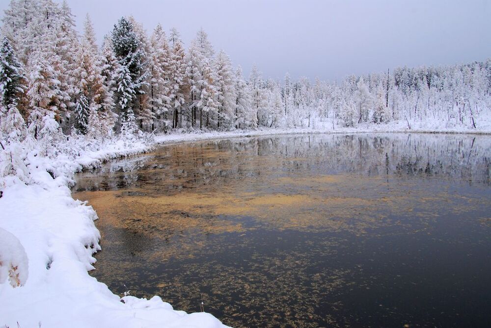 Времена года в Саянах