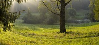 ZD 40-150
Щелчком по картинке открывается полный размер, если у кого небольшой монитор