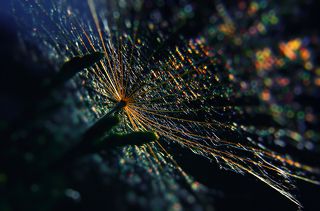 Ver 1, closer to the cold , Я ценю любое мнение