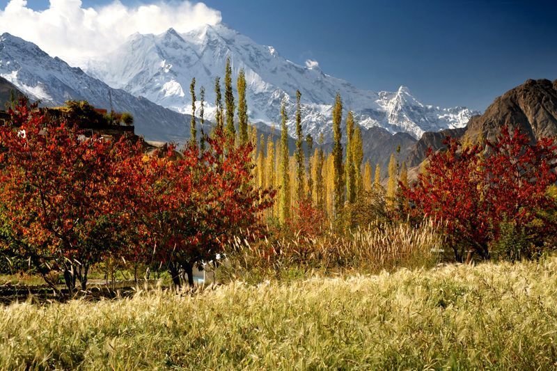 Rakaposhi Peak Pakistan