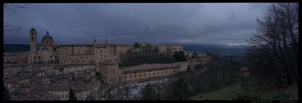Urbino