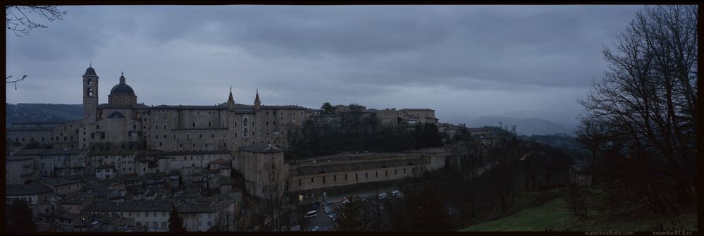 Urbino