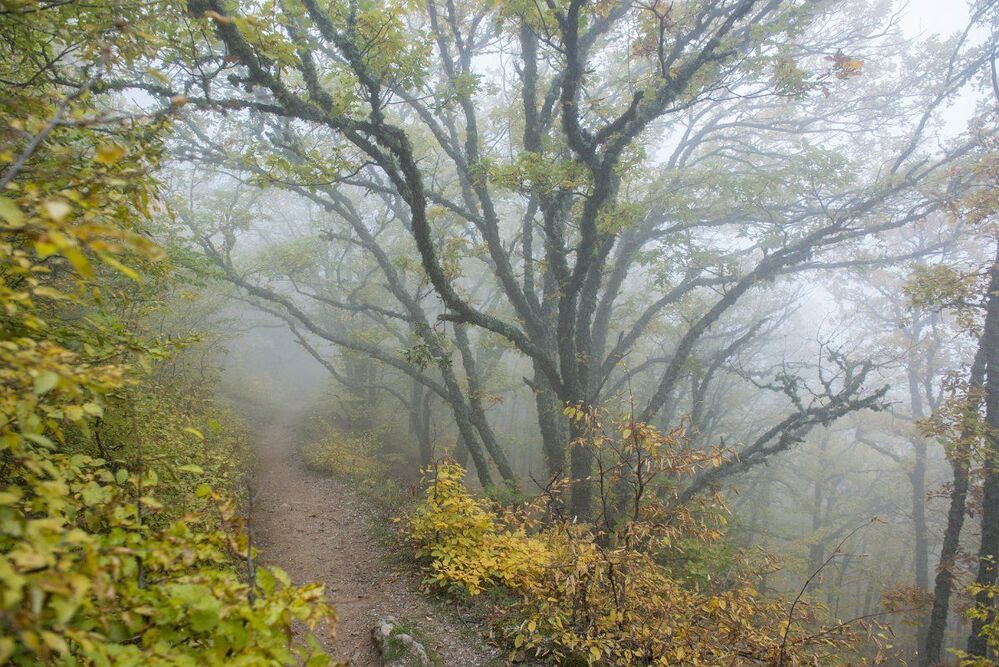 Октябрь в Крыму (часть 2)