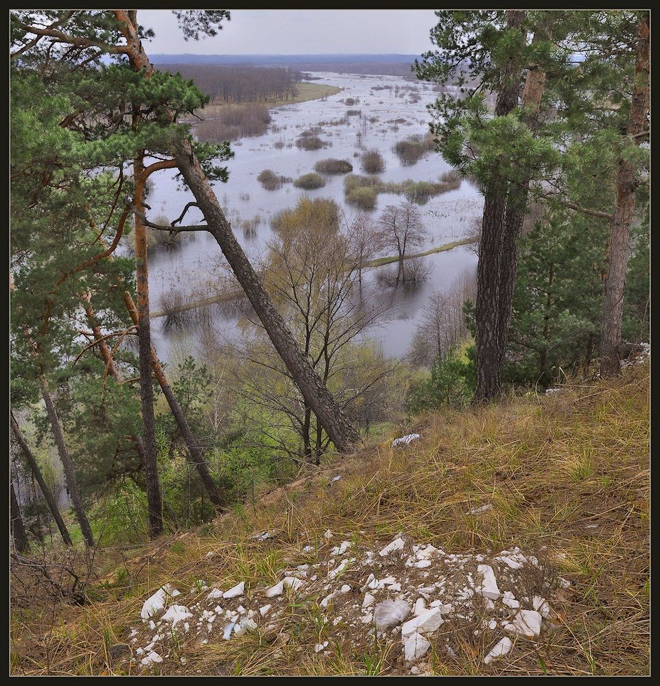 Осенние виды