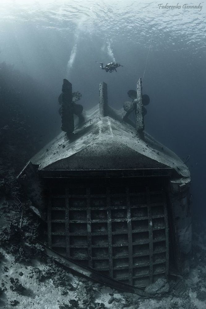 poseidonia