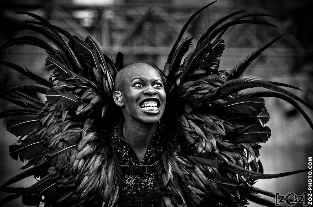 Skunk Anansie