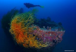 Nanshin Maru. wreck