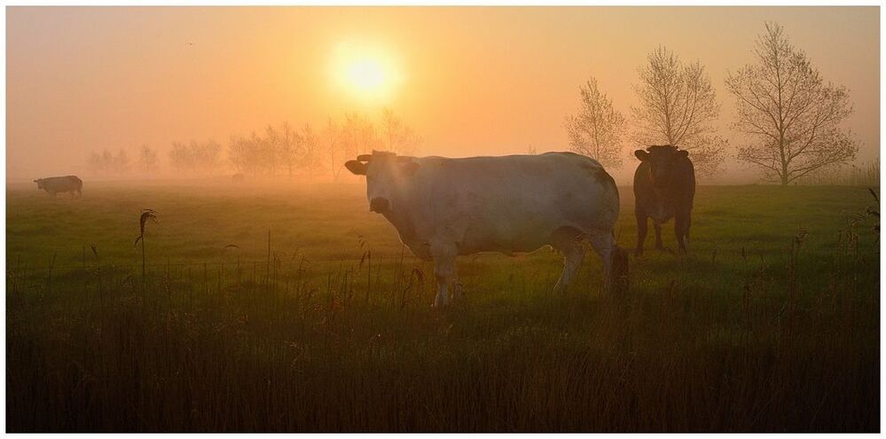 Early in the morning.