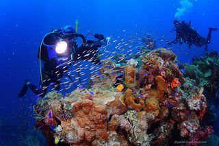 Казенная часть носового орудия калибра 152 мм