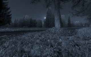 щелчок по картинке открывает полный размер