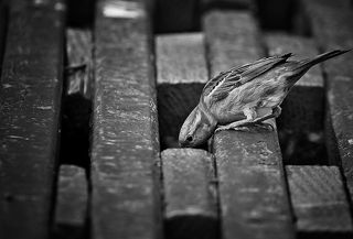 Так, ну где тут еда?