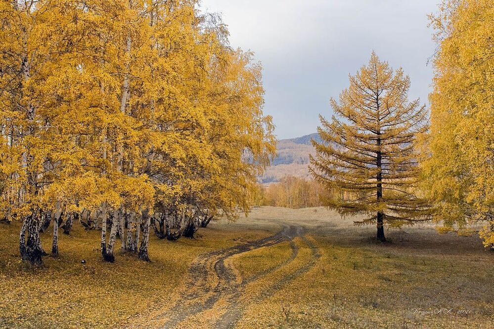 Осень