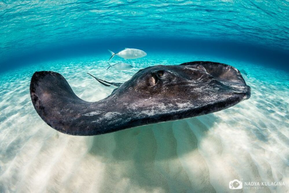 Смайлики