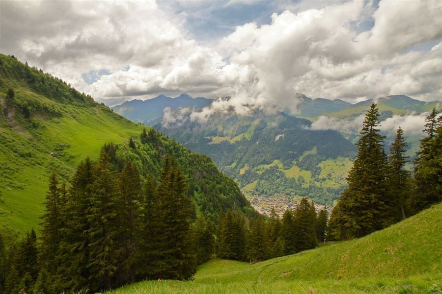 Альпы, Швейцария