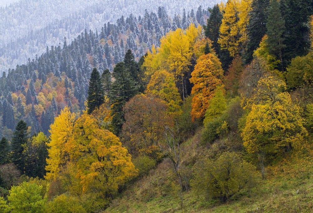 Межсезонье
