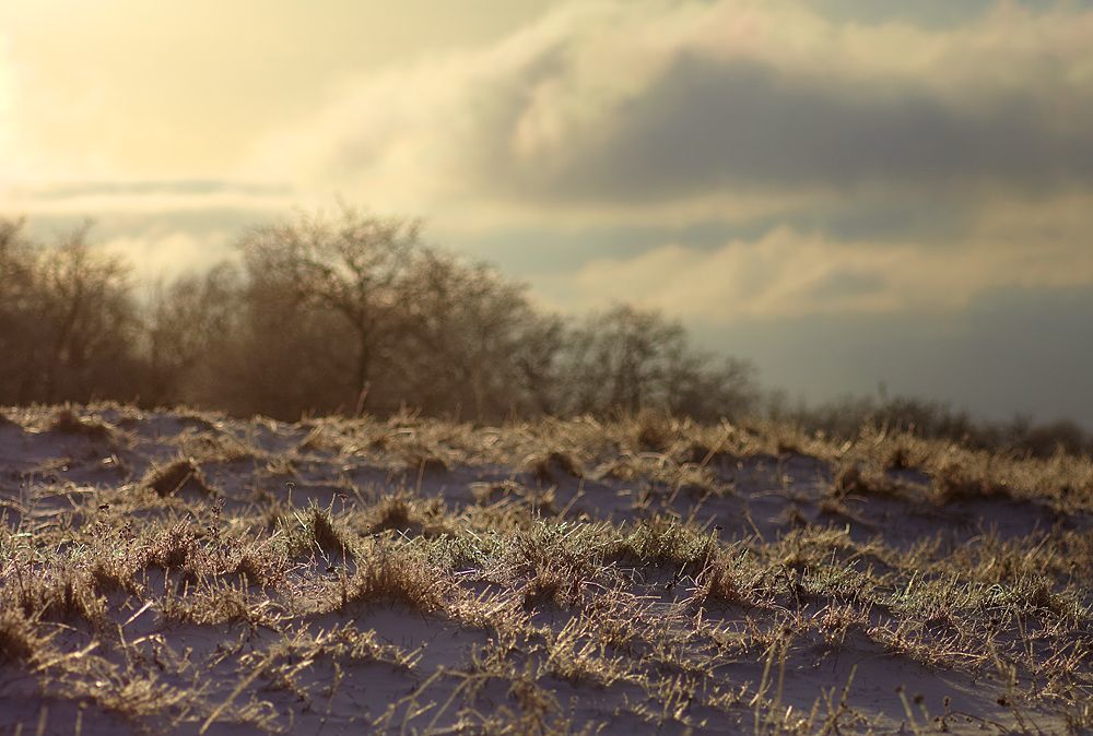 Photo 657267
