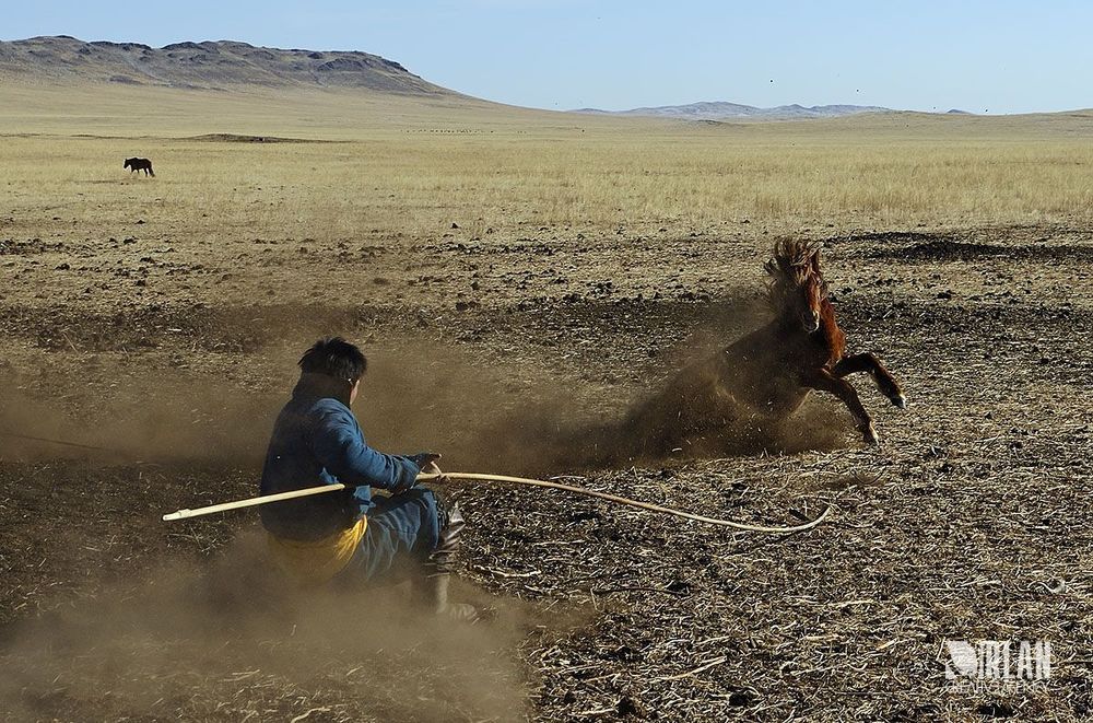 Mongolian horsemen