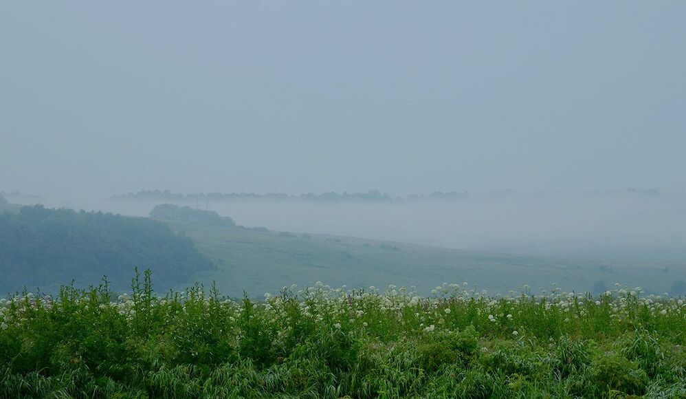 Photo 69232