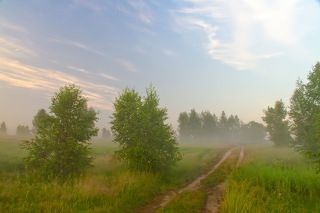 Встать в 4 утра и пойти любоваться туманами, восходом солнца... Слушать звуки природы... Может позволить себе лишь настоящий романтик. Как Вы думаете?