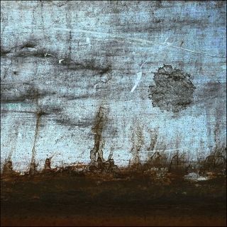 Деревца, солнце. Вид с Марса