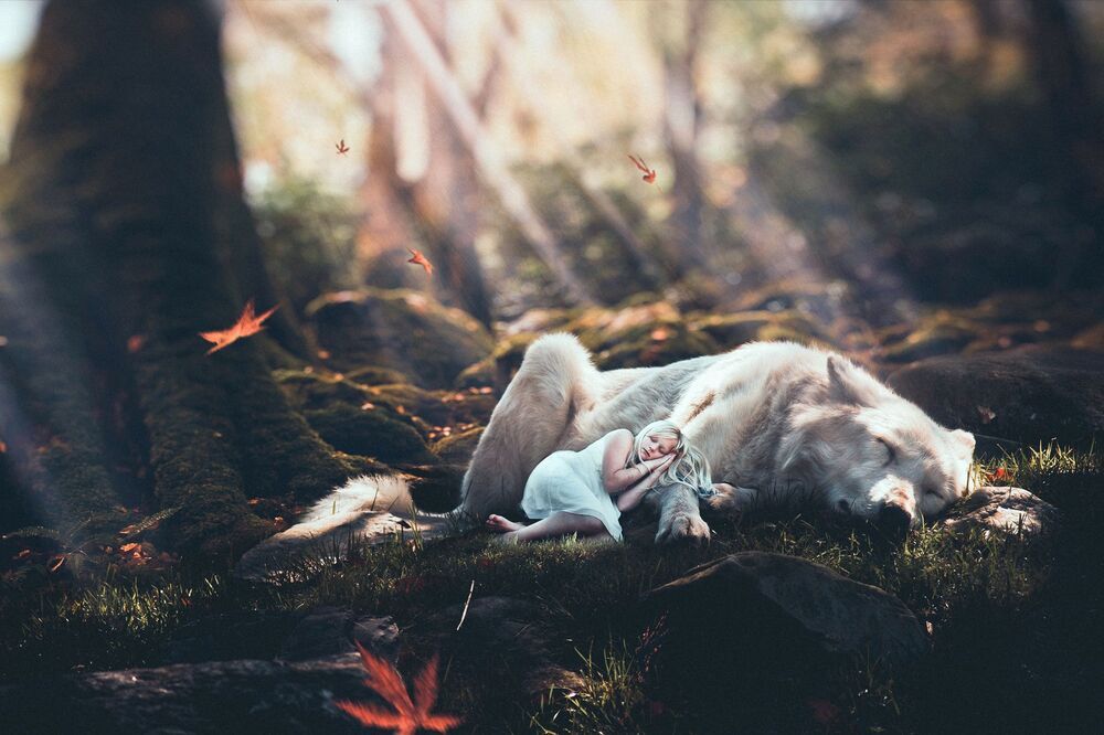 I dreamed a dream