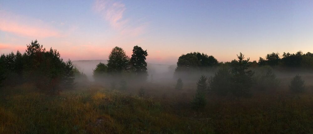 Утренняя прогулка
