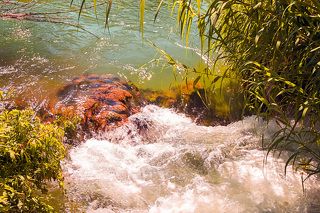 Поток хрустальной воды.