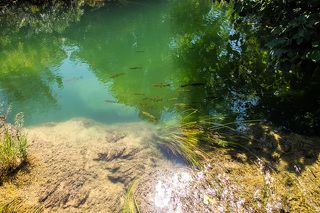 Изумрудная заводь.