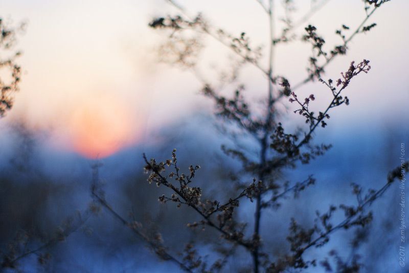 Photo 79012