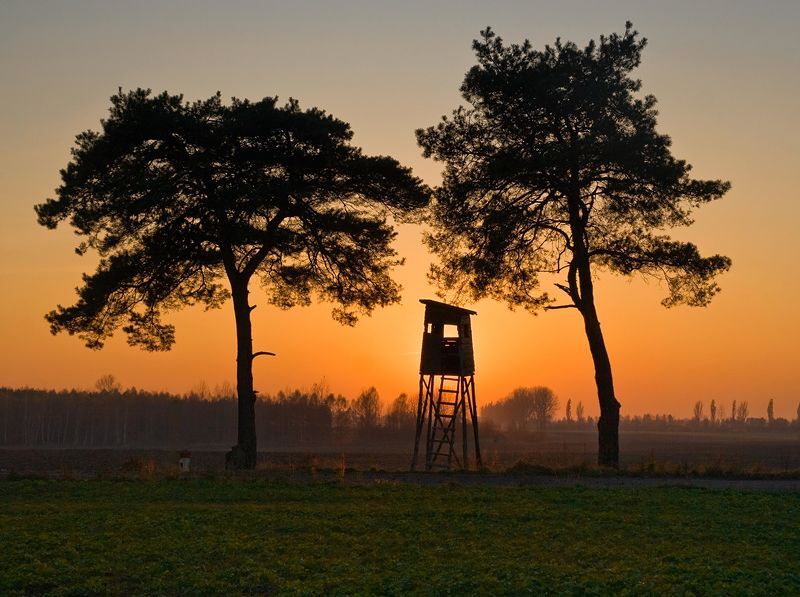 Poland.