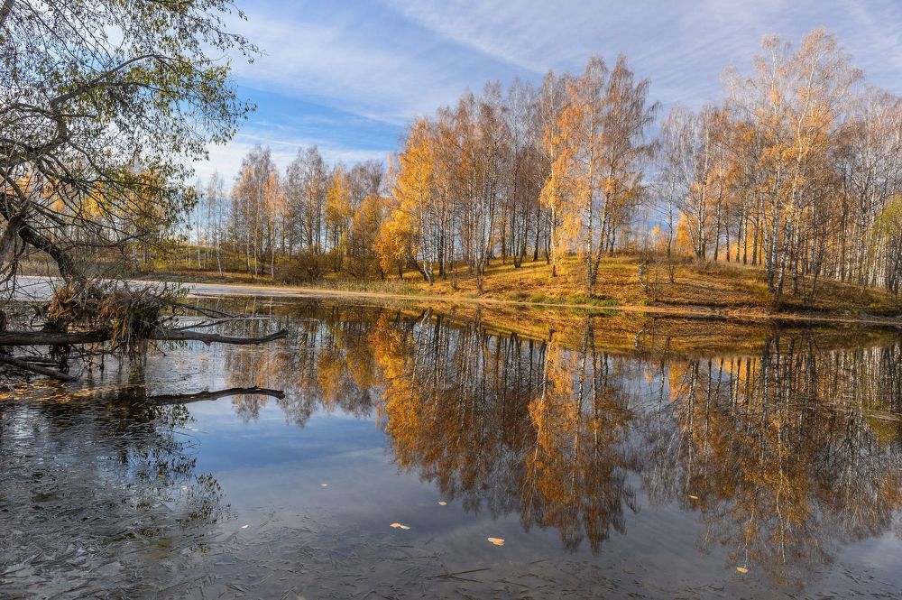 Осень золотая