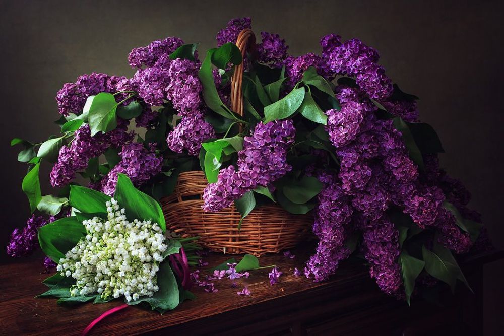 Любимые цветы мая