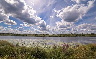 Болотистые берега Клязьмы