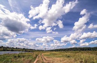 Дорога, дерево, небо.