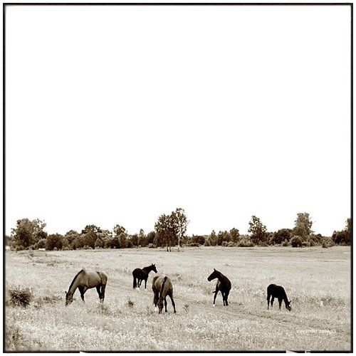 про_свободу