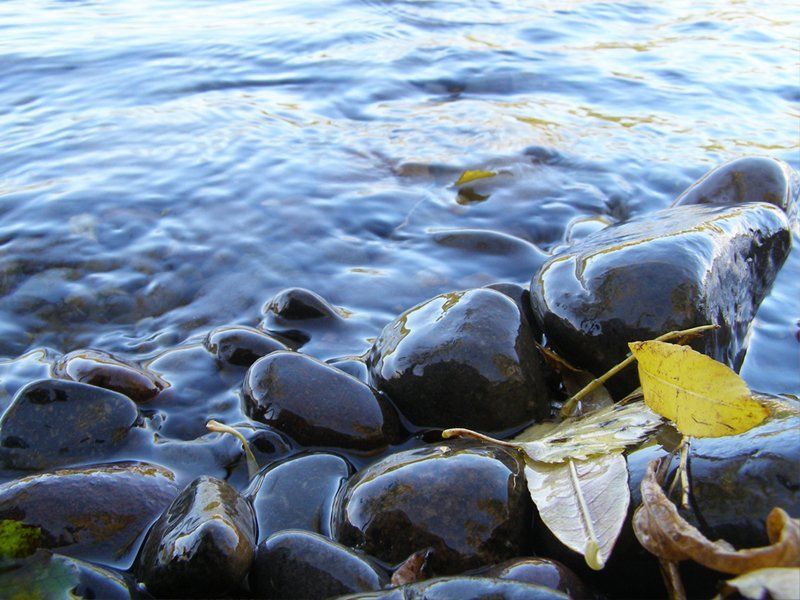 вода, река, листья Спокойствиеphoto preview