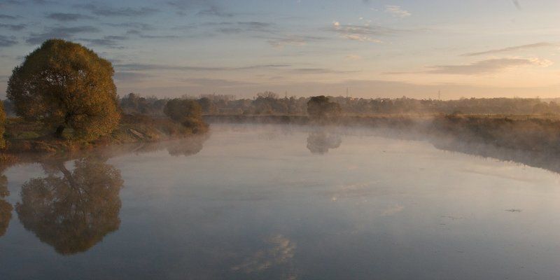 утро, рассвет, пейзаж, река, дерево Утроphoto preview