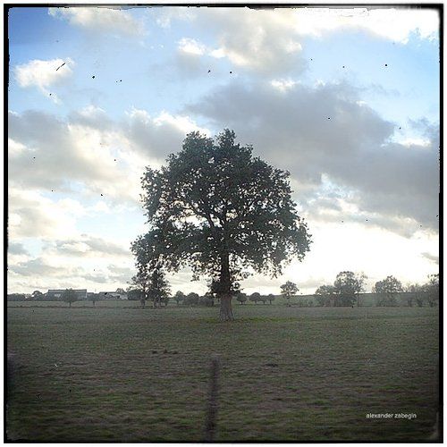 про_одиночество