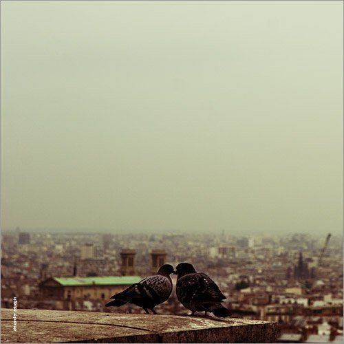 about_love