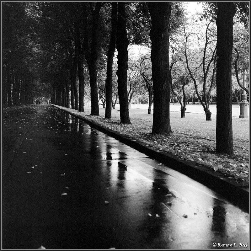 hasselblad, planar, foma После дождяphoto preview