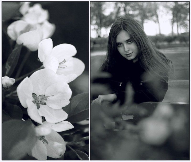 цветокphoto preview