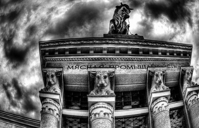 Вегетарианствоphoto preview