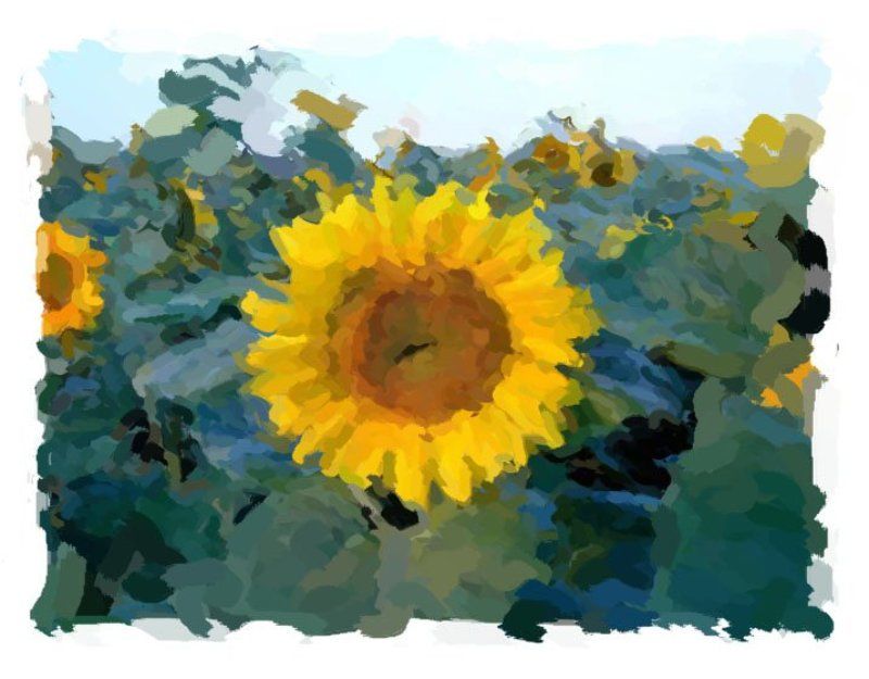 природа,арт подсолнухphoto preview